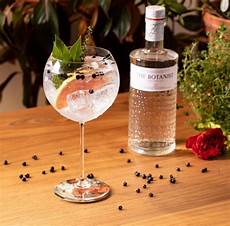 Gin Tonic Glass