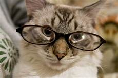 Outdoor Glasses