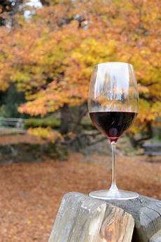 Rose Wine Glass